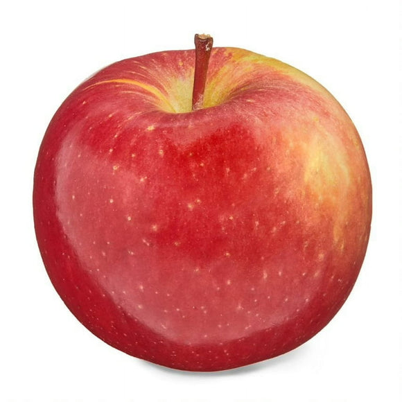 Apple Fuji 1 pc