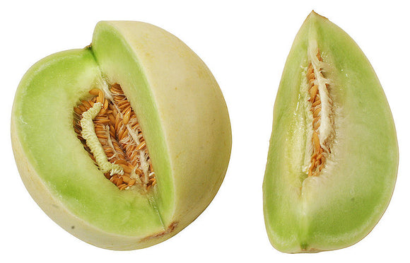 Honeydew Melon around 1.3KG