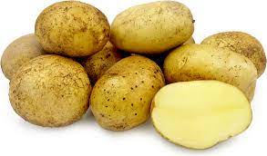 Potato Agria 500g左右